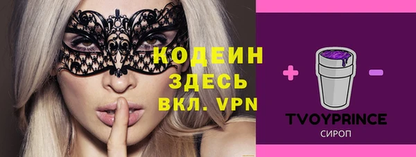 спайс Няндома