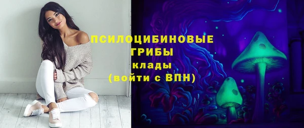 спайс Нягань