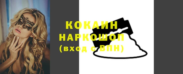 спайс Няндома