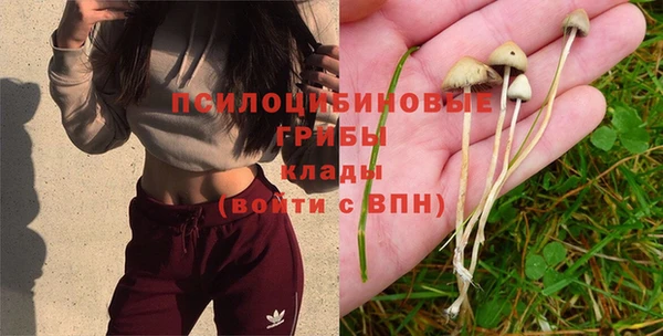 прущий лед Осинники