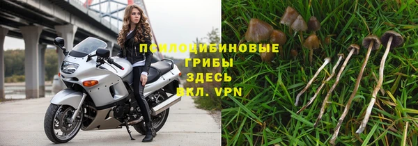 сатива Нязепетровск