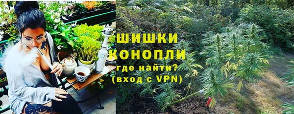 спайс Нягань