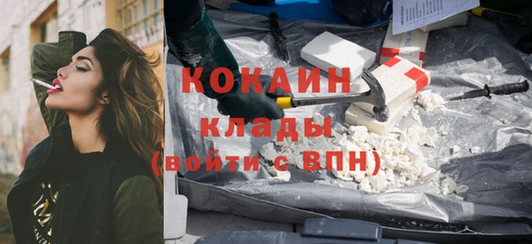 спайс Няндома