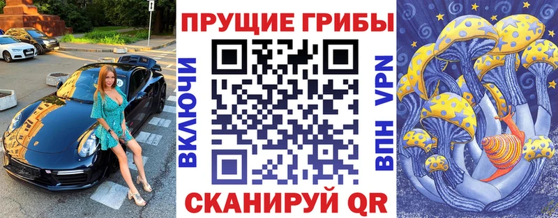 Псилоцибиновые грибы мицелий  kraken tor  маркетплейс телеграм  Крымск 