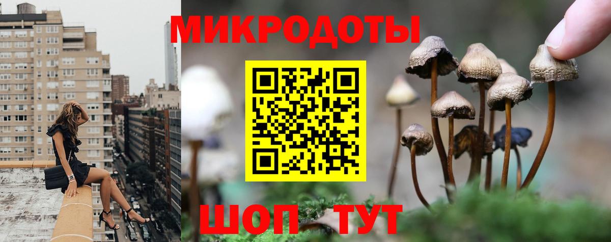 Псилоцибиновые грибы прущие грибы  Вход с VPN  Псилоцибиновые грибы прущие грибы  Крымск 